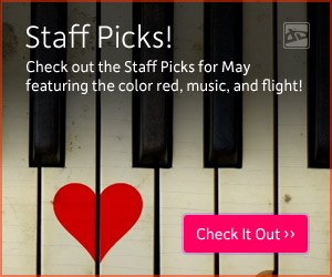 Staff Picks - May