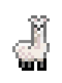 Albino Llama: Llamas are awesome! (1095)